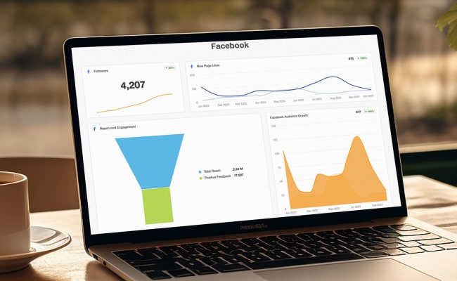 Our Facebook reporting dashboard to measure engagement and growth against dollars spent.